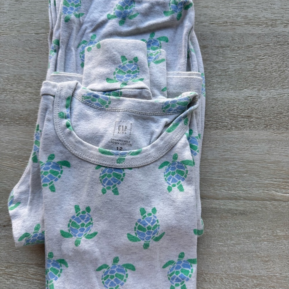 GAP Kids Pajama Set with Green and Blue Turtle Print
